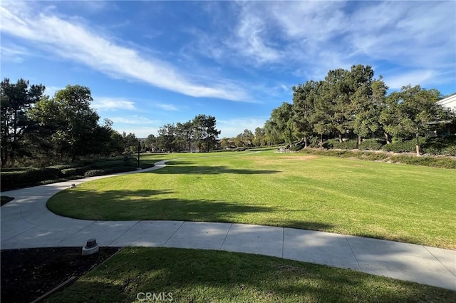 view of community featuring a yard