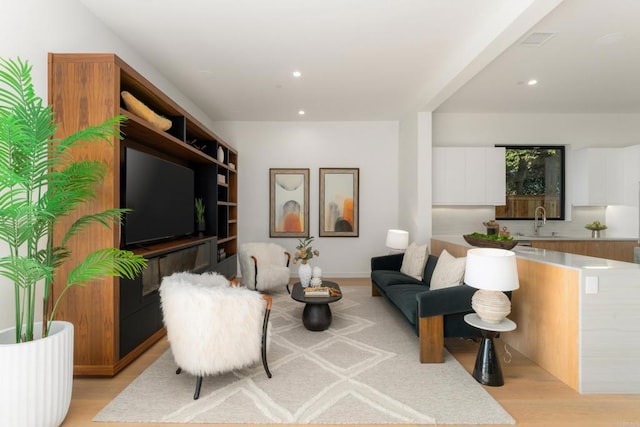 living area featuring light hardwood / wood-style floors and sink