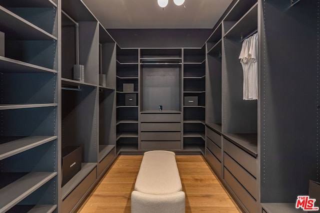 spacious closet featuring hardwood / wood-style flooring