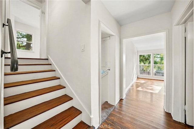 stairs with hardwood / wood-style floors