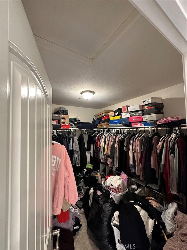 spacious closet featuring carpet flooring