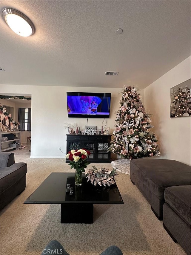 living room featuring a textured ceiling and carpet