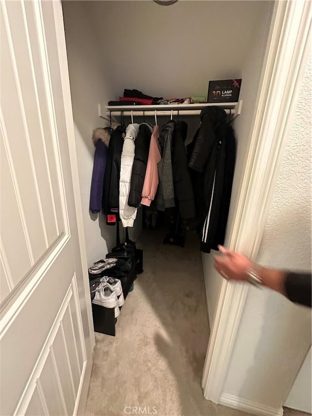 spacious closet with light carpet