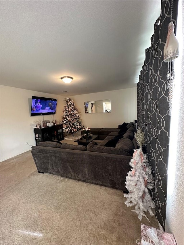 living room with carpet