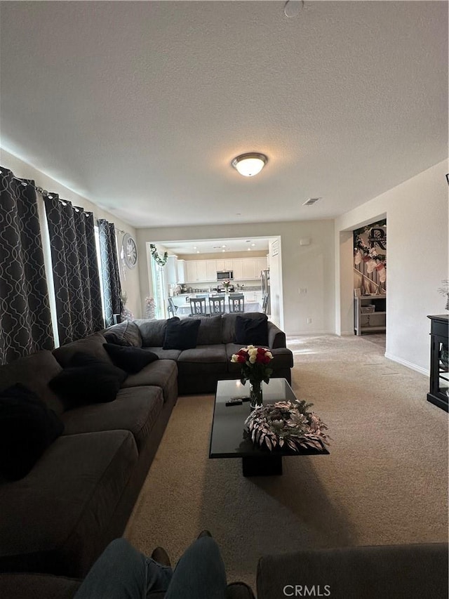 living room featuring carpet floors and a textured ceiling