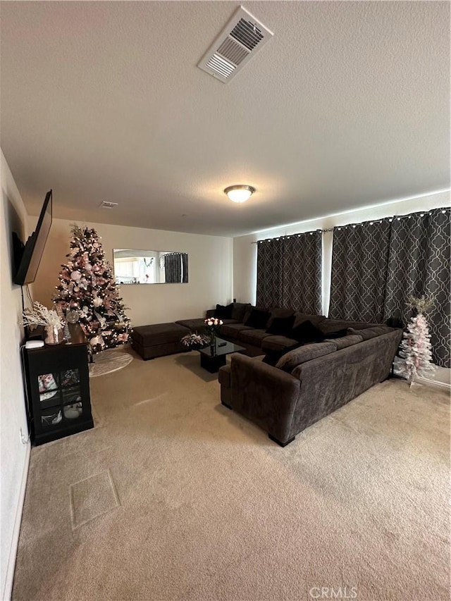 living room with a textured ceiling and carpet