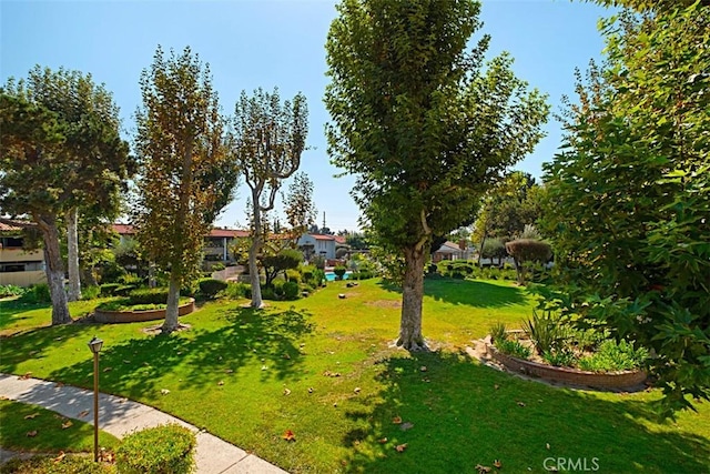 view of property's community with a lawn