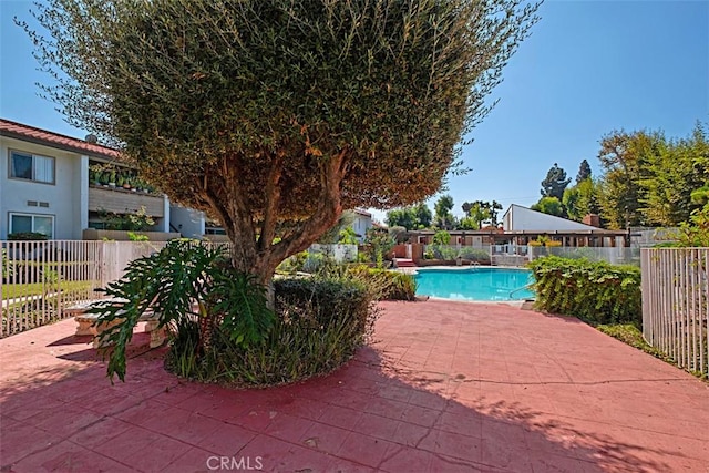 view of pool featuring a patio area