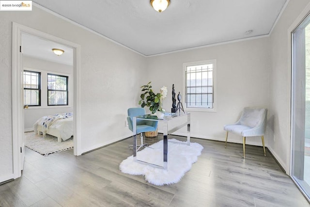 office area featuring wood-type flooring and ornamental molding