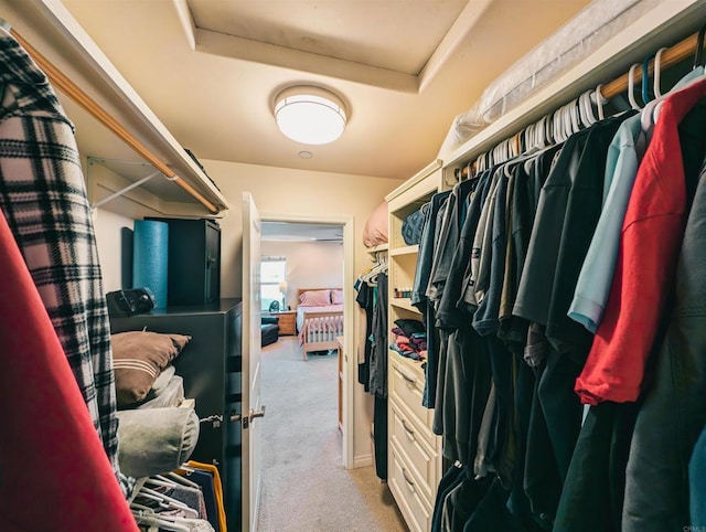 walk in closet featuring carpet floors and a tray ceiling