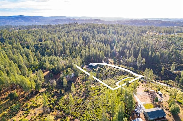 birds eye view of property featuring a mountain view