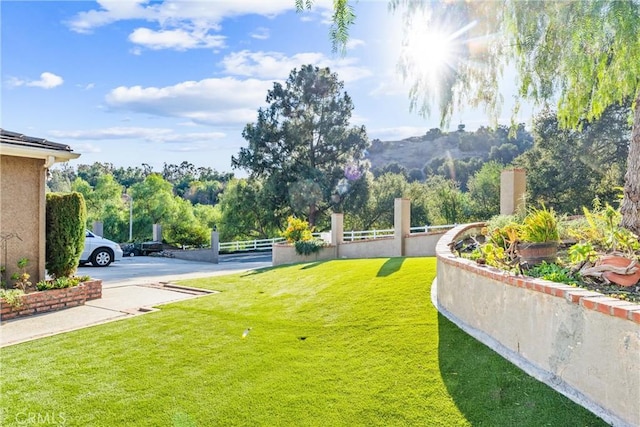 view of property's community featuring a mountain view and a lawn