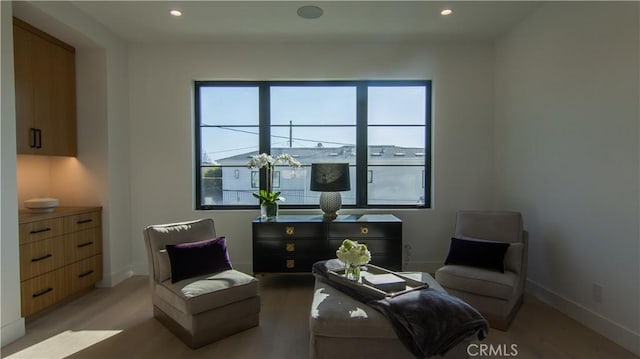 living area featuring light hardwood / wood-style flooring