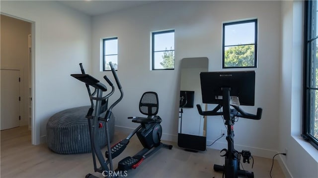 workout area with light hardwood / wood-style floors and a healthy amount of sunlight