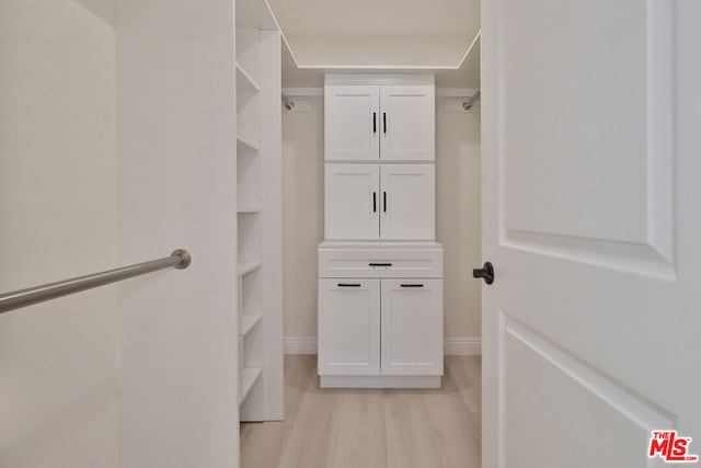 spacious closet featuring light hardwood / wood-style flooring