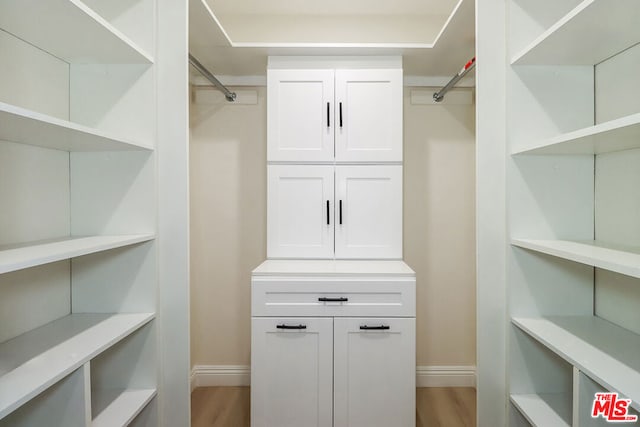 spacious closet with wood-type flooring