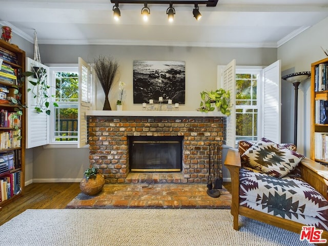 living room with crown molding, rail lighting, a healthy amount of sunlight, and a fireplace