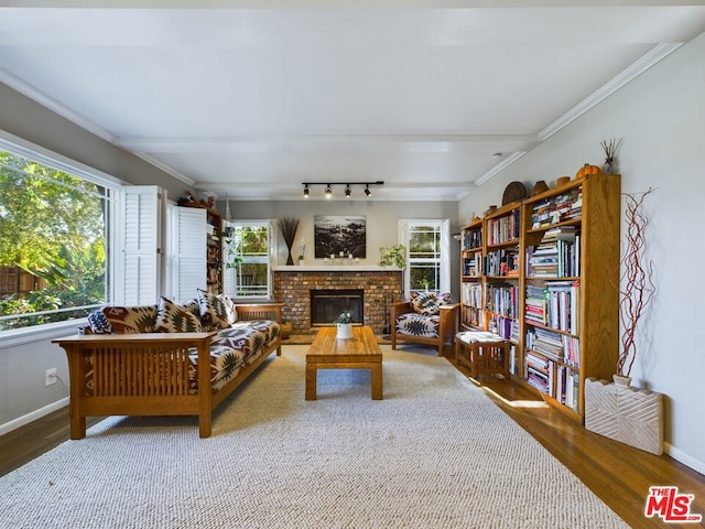 living room featuring wood-type flooring, a healthy amount of sunlight, and ornamental molding