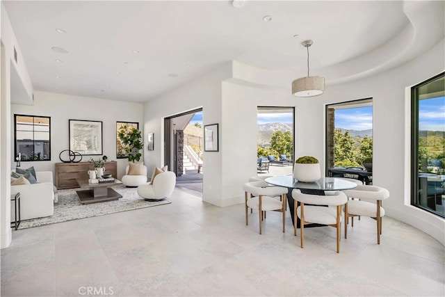 dining room featuring a tray ceiling