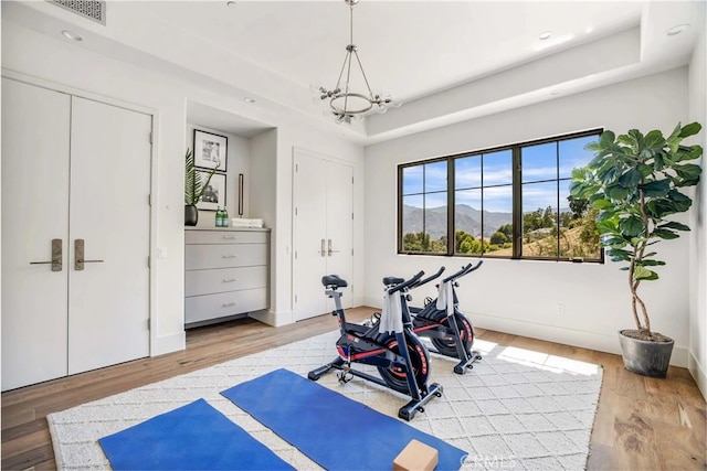 workout area featuring a raised ceiling, light wood-type flooring, and a mountain view