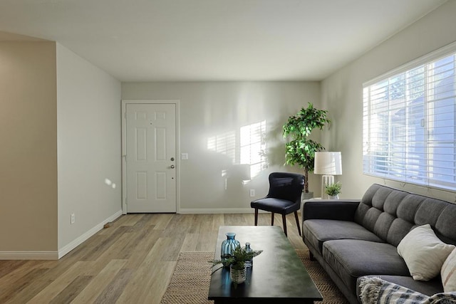 living room with light hardwood / wood-style floors