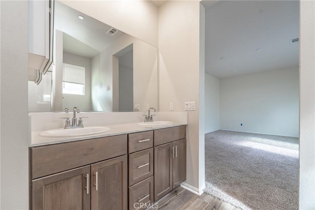 bathroom with vanity and wood-type flooring