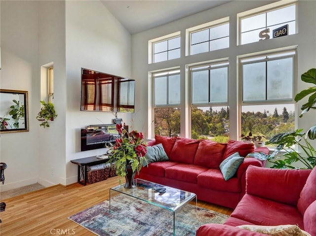 living room featuring high vaulted ceiling and hardwood / wood-style floors