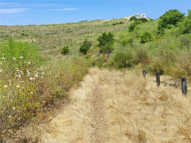 view of local wilderness with a rural view