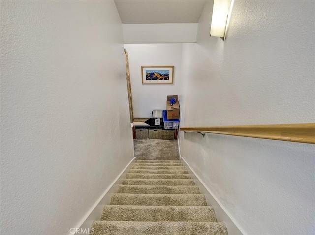 stairway featuring carpet