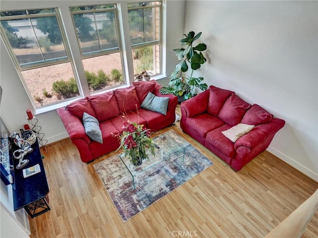 living room featuring light hardwood / wood-style floors and plenty of natural light