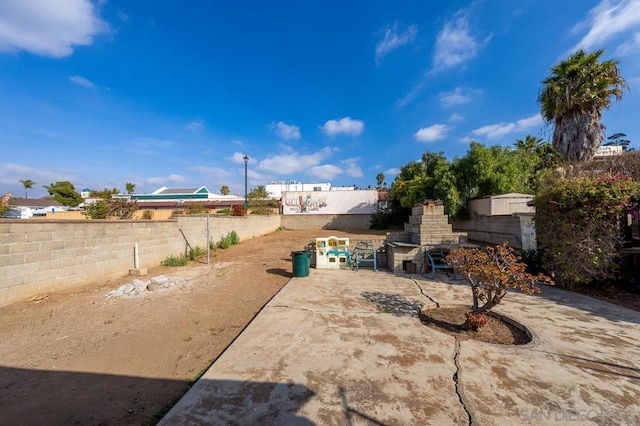 view of yard featuring a patio area and exterior fireplace