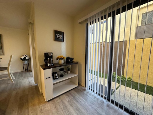 entryway featuring hardwood / wood-style floors