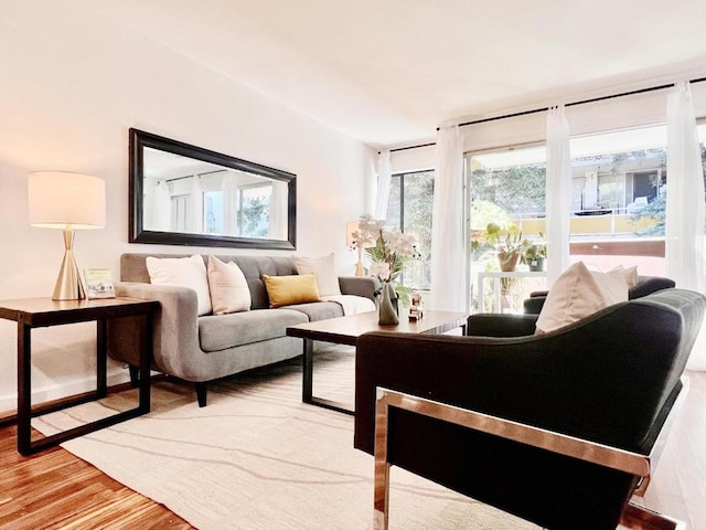 living room featuring hardwood / wood-style flooring