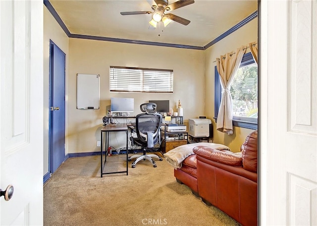 carpeted office with crown molding and ceiling fan