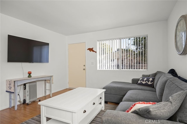 living room with wood-type flooring and radiator heating unit