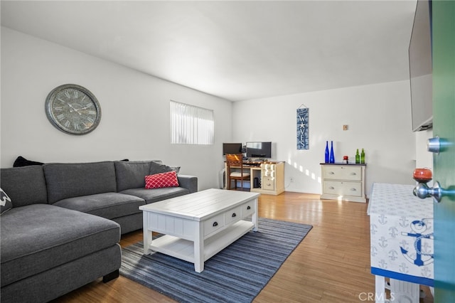 living room featuring hardwood / wood-style floors