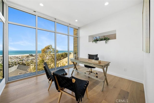 office featuring floor to ceiling windows, light hardwood / wood-style flooring, and a water view