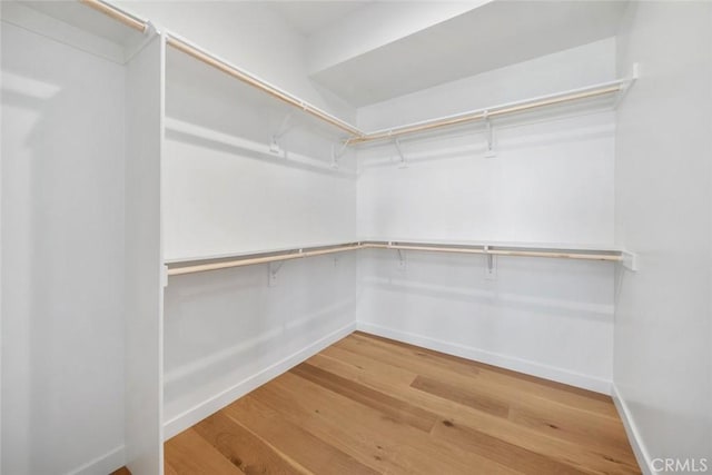 spacious closet featuring hardwood / wood-style flooring