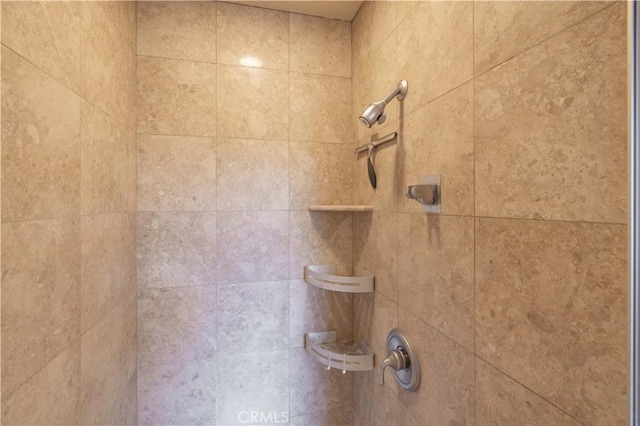 room details with tiled shower