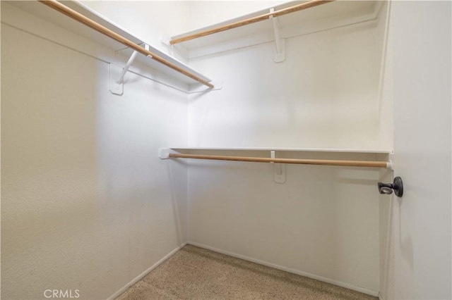 view of spacious closet