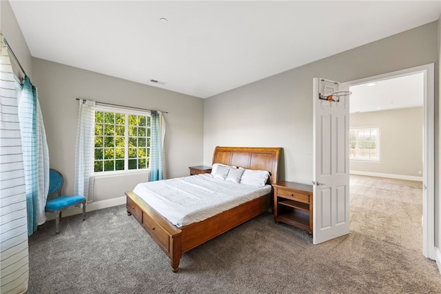 bedroom with carpet floors