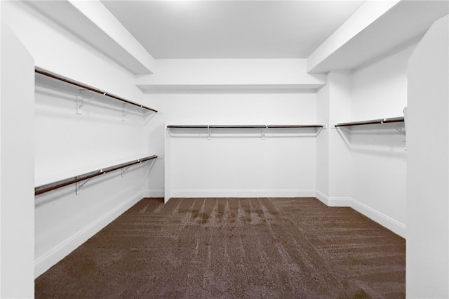 spacious closet featuring dark colored carpet