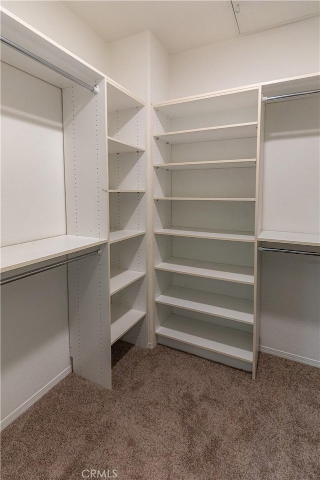 walk in closet with carpet