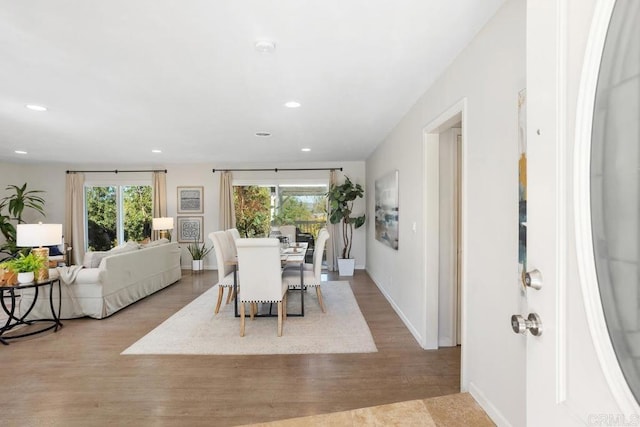 dining space featuring light hardwood / wood-style floors