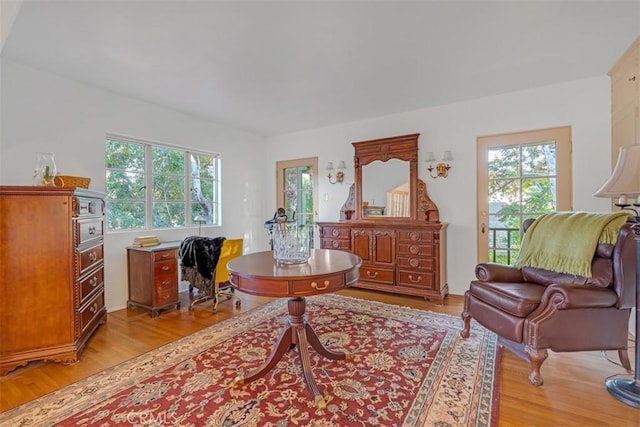 sitting room featuring light hardwood / wood-style floors and a healthy amount of sunlight