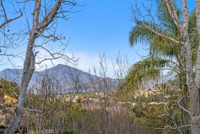 property view of mountains