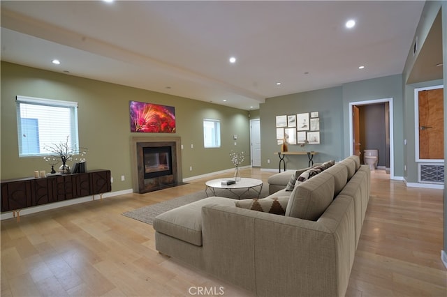 living room featuring light hardwood / wood-style flooring and a fireplace