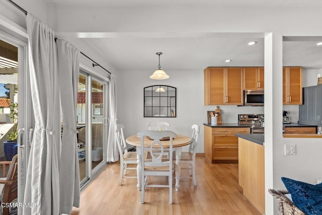 kitchen featuring stainless steel appliances, light hardwood / wood-style flooring, and hanging light fixtures