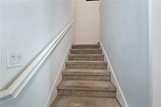 staircase featuring carpet floors