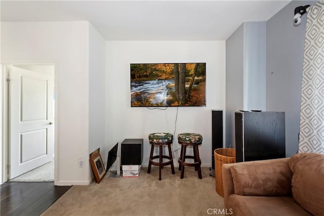 sitting room with carpet flooring